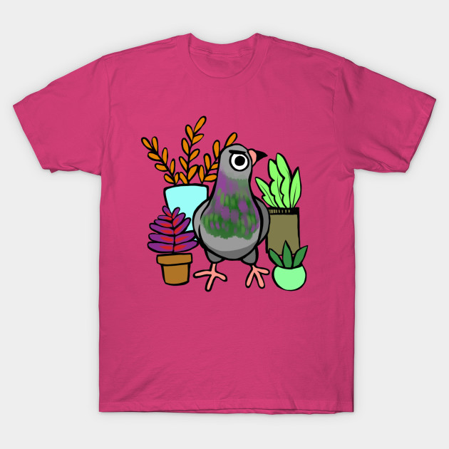 Succulent Pigeon